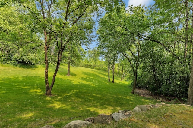 26182 Jericho Rd, Saint Joseph Twp, MN 56301 - view of green lawn