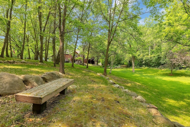 26182 Jericho Rd, Saint Joseph Twp, MN 56301 - view of grassy yard