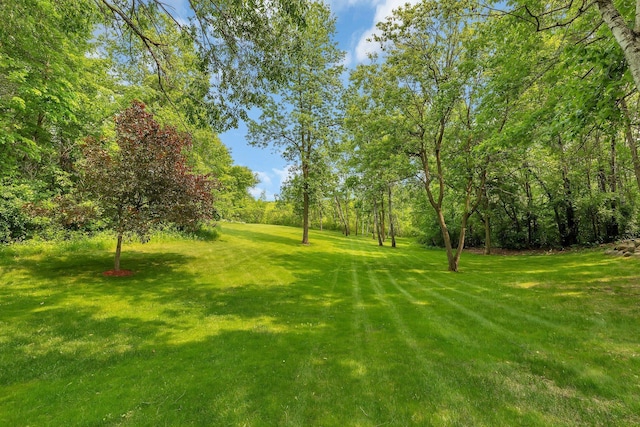 26182 Jericho Rd, Saint Joseph Twp, MN 56301 - view of grassy yard