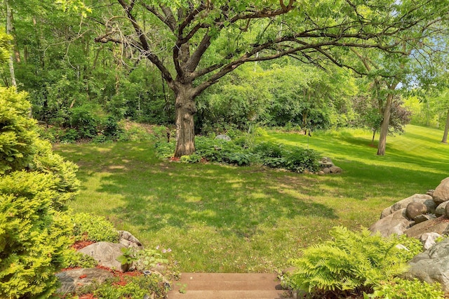 26182 Jericho Rd, Saint Joseph Twp, MN 56301 - view of grassy yard