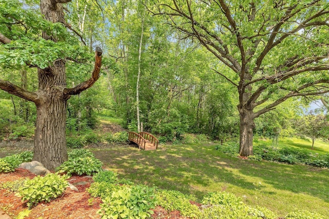26182 Jericho Rd, Saint Joseph Twp, MN 56301 - view of green lawn