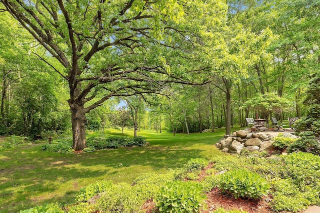 26182 Jericho Rd, Saint Joseph Twp, MN 56301 - view of green lawn