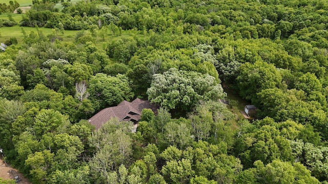 26182 Jericho Rd, Saint Joseph Twp, MN 56301 - aerial view of property and surrounding area featuring a heavily wooded area