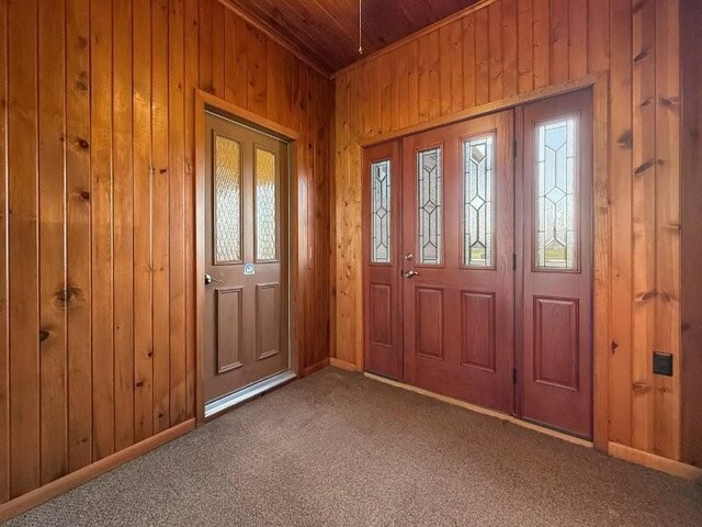 1254 State St, Fairmont, MN 56031 - entryway featuring wooden walls, a healthy amount of sunlight, carpet flooring, and wooden ceiling
