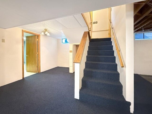 1254 State St, Fairmont, MN 56031 - stairs with carpet flooring