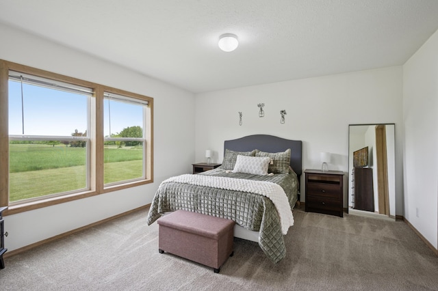 18394 145th Ave, Milaca, MN 56353 - bedroom with carpet and baseboards