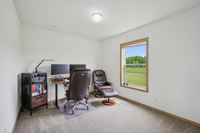 18394 145th Ave, Milaca, MN 56353 - home office with carpet flooring and baseboards