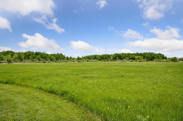 18394 145th Ave, Milaca, MN 56353 - view of local wilderness with rural landscape