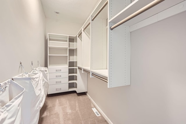spacious closet featuring visible vents and carpet