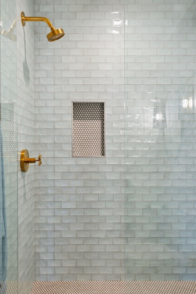 7450 73rd Ct N, Grant, MN 55082 - full bath with a tile shower