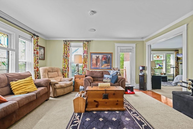 3375 Stark Rd NE, Cambridge Twp, MN 55008 - living area featuring healthy amount of natural light and crown molding