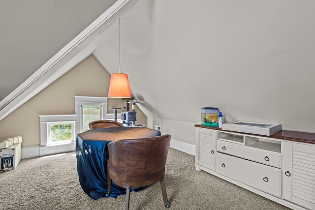 3375 Stark Rd NE, Cambridge Twp, MN 55008 - office featuring carpet and lofted ceiling