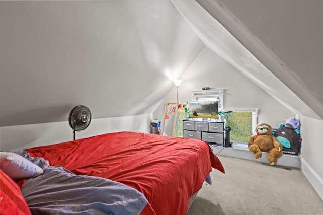 3375 Stark Rd NE, Cambridge Twp, MN 55008 - bedroom with carpet flooring and lofted ceiling