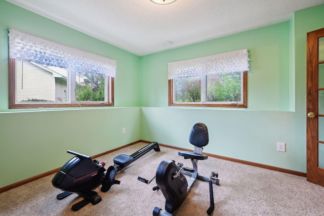 exercise room with a textured ceiling, baseboards, plenty of natural light, and carpet