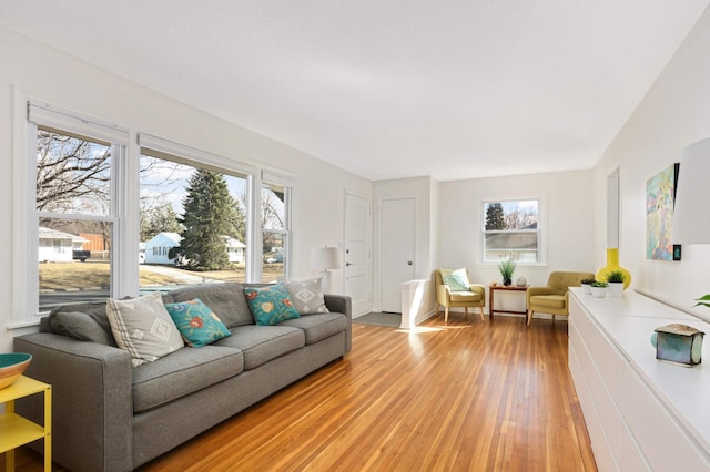 living room featuring light wood finished floors