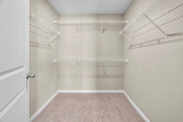 8506 Titanium Cir, Woodbury, MN 55129 - spacious closet with carpet flooring