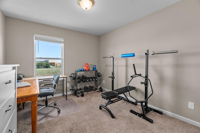 8506 Titanium Cir, Woodbury, MN 55129 - exercise area featuring carpet and baseboards