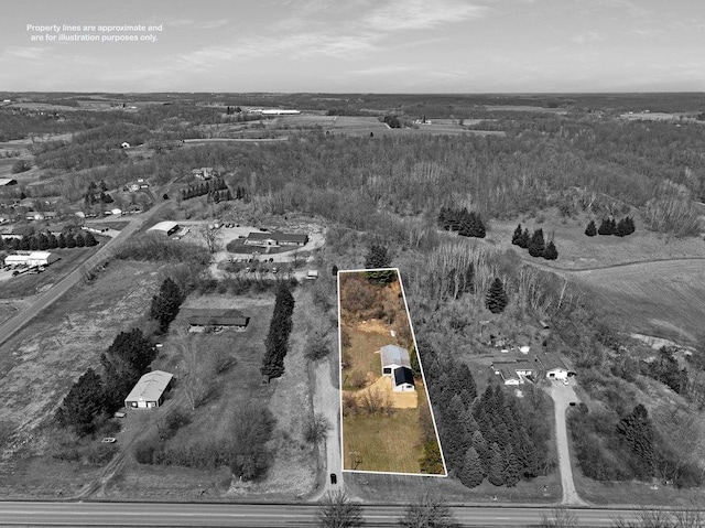 drone / aerial view