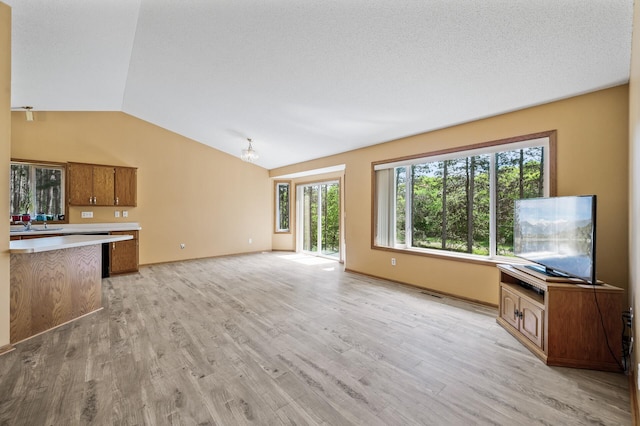 17813 224th Ave NW, Big Lake, MN 55309 - unfurnished living room with vaulted ceiling, light wood-style floors, and baseboards