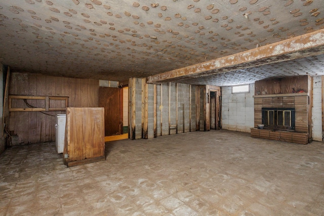 123 Thomas Hill Rd, Jackson, MN 56143 - below grade area featuring wood walls and a fireplace