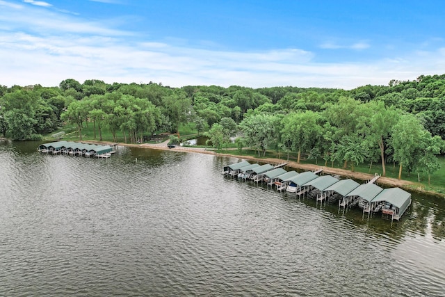 4325 Trillium Ln W, Minnetrista, MN 55364 - drone / aerial view of a large body of water