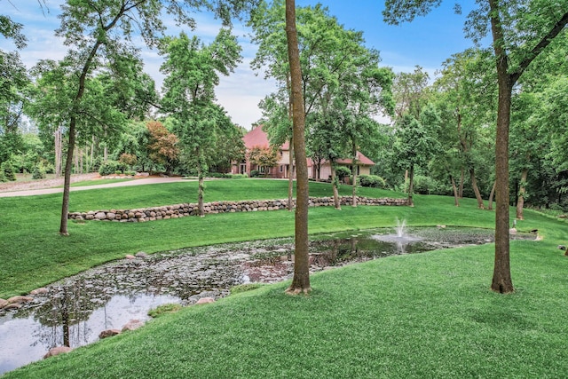 4325 Trillium Ln W, Minnetrista, MN 55364 - surrounding community featuring a yard and a water view
