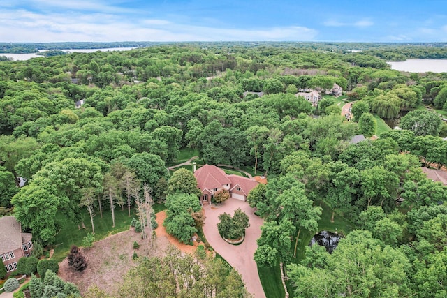 4325 Trillium Ln W, Minnetrista, MN 55364 - drone / aerial view of a forest and a nearby body of water