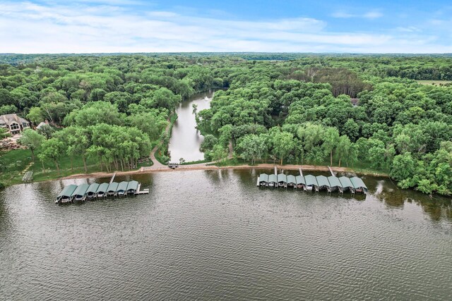 4325 Trillium Ln W, Minnetrista, MN 55364 - drone / aerial view of a nearby body of water
