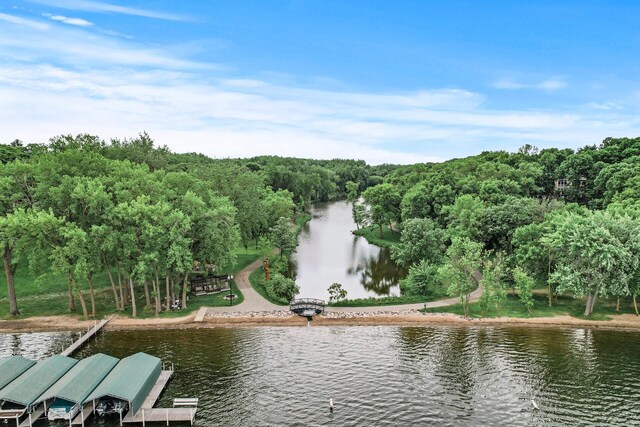 4325 Trillium Ln W, Minnetrista, MN 55364 - water view