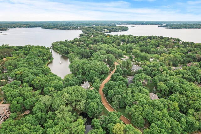 4325 Trillium Ln W, Minnetrista, MN 55364 - drone / aerial view of a nearby body of water and a forest