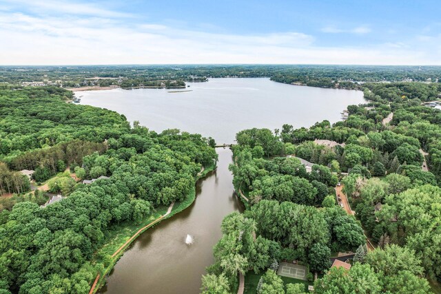4325 Trillium Ln W, Minnetrista, MN 55364 - bird's eye view of a nearby body of water