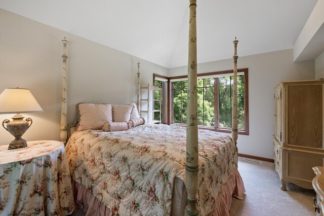 4325 Trillium Ln W, Minnetrista, MN 55364 - bedroom with light colored carpet and lofted ceiling