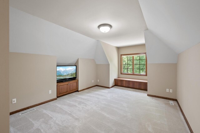 4325 Trillium Ln W, Minnetrista, MN 55364 - additional living space with vaulted ceiling and light carpet