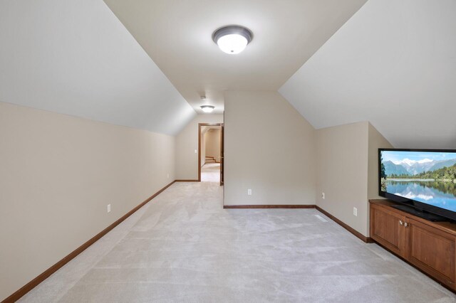 4325 Trillium Ln W, Minnetrista, MN 55364 - bonus room featuring light carpet and lofted ceiling
