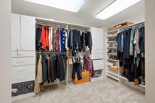 4325 Trillium Ln W, Minnetrista, MN 55364 - spacious closet featuring carpet floors