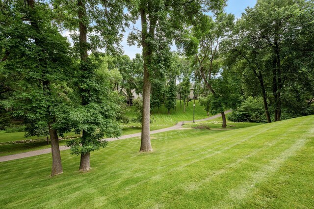 4325 Trillium Ln W, Minnetrista, MN 55364 - view of grassy yard featuring view of scattered trees