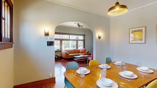 dining space with crown molding, arched walkways, a ceiling fan, and wood finished floors