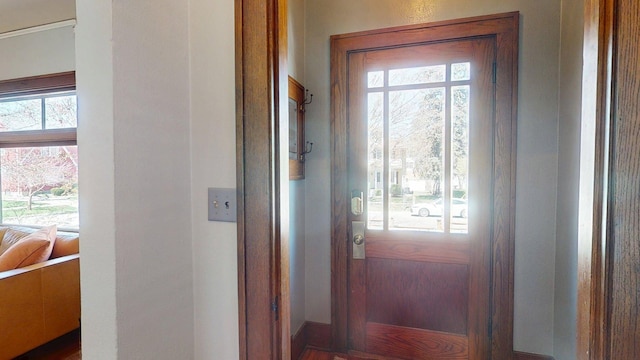 doorway featuring a wealth of natural light