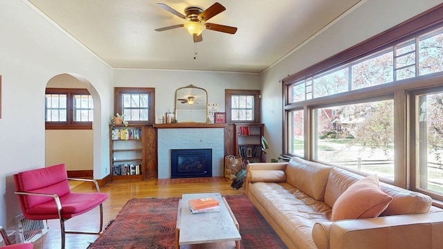 living area featuring a ceiling fan, a wealth of natural light, and wood finished floors