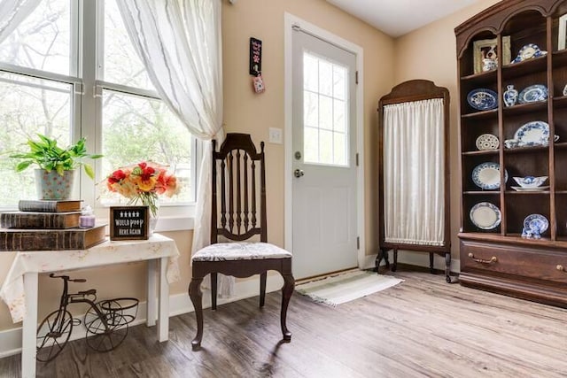 2085 Queens Ave S, Lakeland, MN 55043 - doorway to outside with baseboards and wood finished floors