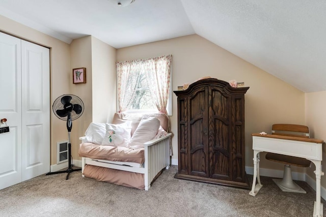 2085 Queens Ave S, Lakeland, MN 55043 - carpeted bedroom featuring baseboards, a closet, and lofted ceiling