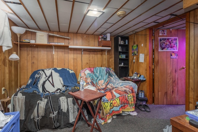 1311 Irving St, Alexandria, MN 56308 - carpeted bedroom featuring wooden walls and a bar