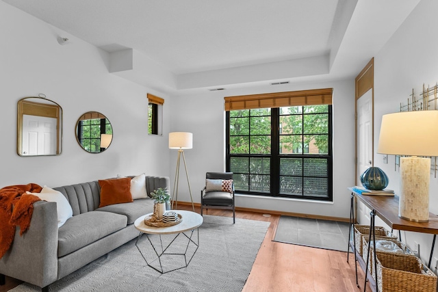 2565 Franklin Ave Unit 109, Saint Paul, MN 55114 - living room featuring plenty of natural light, wood finished floors, baseboards, and a raised ceiling