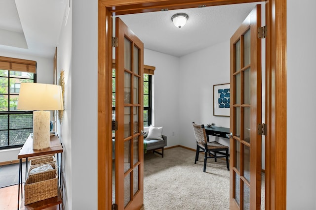 2565 Franklin Ave Unit 109, Saint Paul, MN 55114 - carpeted office space with french doors and baseboards