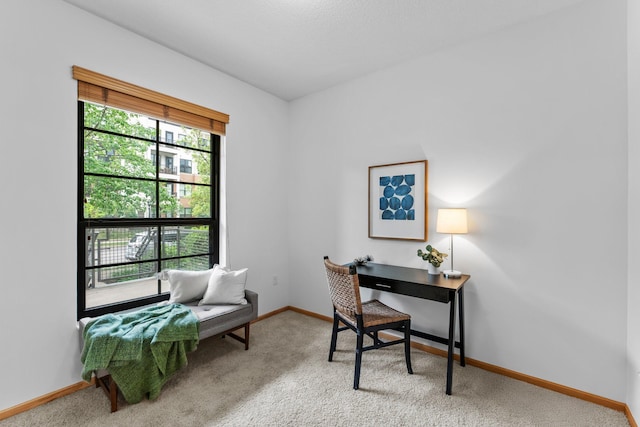 2565 Franklin Ave Unit 109, Saint Paul, MN 55114 - carpeted office featuring baseboards