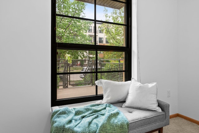 2565 Franklin Ave Unit 109, Saint Paul, MN 55114 - bedroom with baseboards and carpet floors