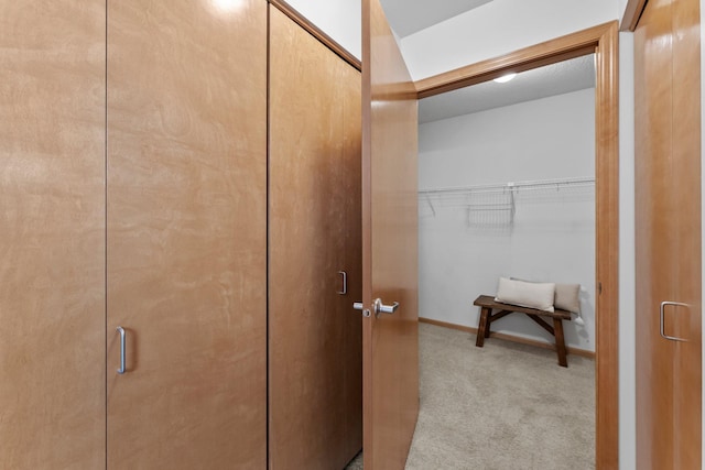 2565 Franklin Ave Unit 109, Saint Paul, MN 55114 - walk in closet with light carpet