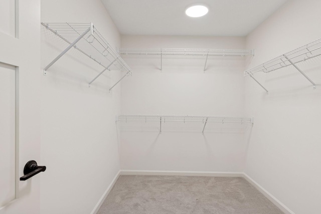 6200 Harkness Alcove S, Cottage Grove, MN 55016 - spacious closet featuring carpet floors