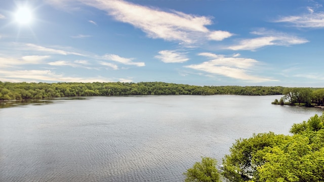 24944 729th Ave, Dassel, MN 55325 - water view featuring a heavily wooded area