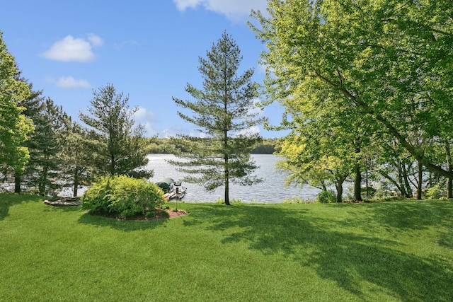 24944 729th Ave, Dassel, MN 55325 - water view